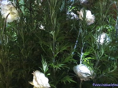 LA MULTI ANI FRUMOSI! 새해 복 많이 받으세요 !