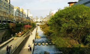 Sa maturi IN apa unui RIU…